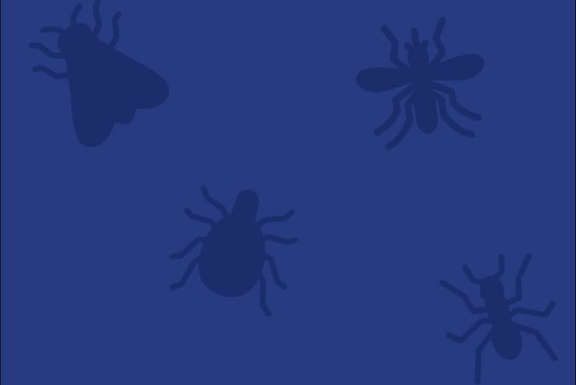 Arrow Exterminators, Parent Company of Stark Exterminators, Announces the Strategic Acquisition of River City Termite & Pest Control in Baton Rouge, LA