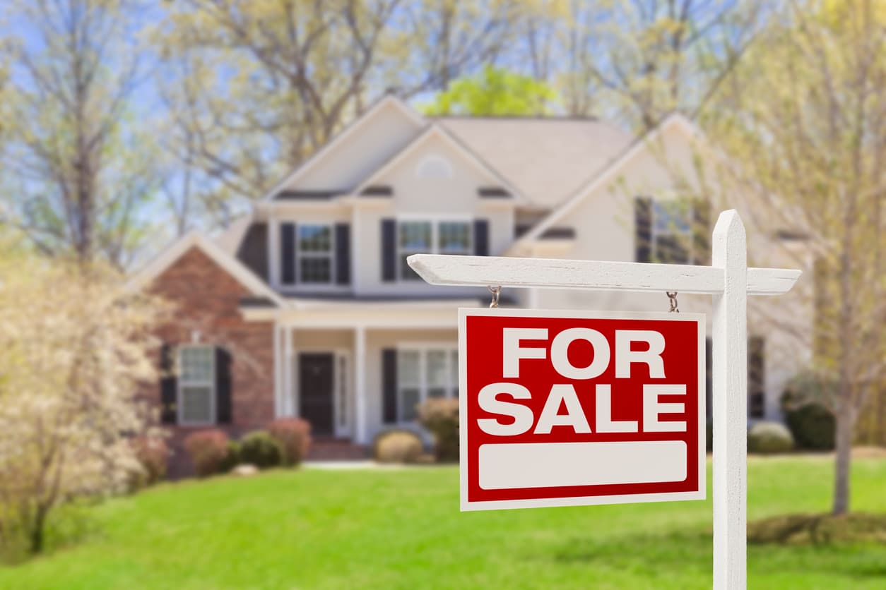 Dream Home or Rat Den? What to Look for When Buying a Pest-Free Home.