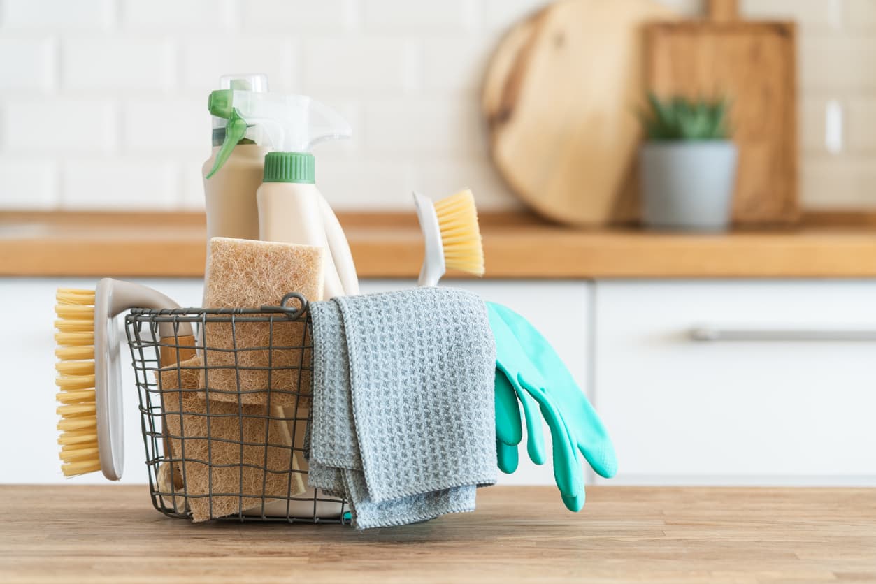 Scrub, Sweep, and Say Goodbye to Pests With These Spring Cleaning Tips