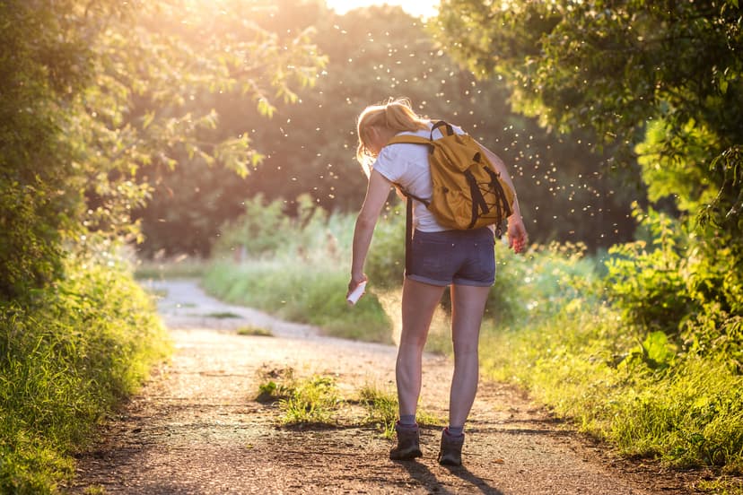 The Summer Survival Guide for Bugs, Snakes, and Other Pests