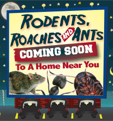 Roaches, Rodents & Ants: Coming Soon to a Home Near You