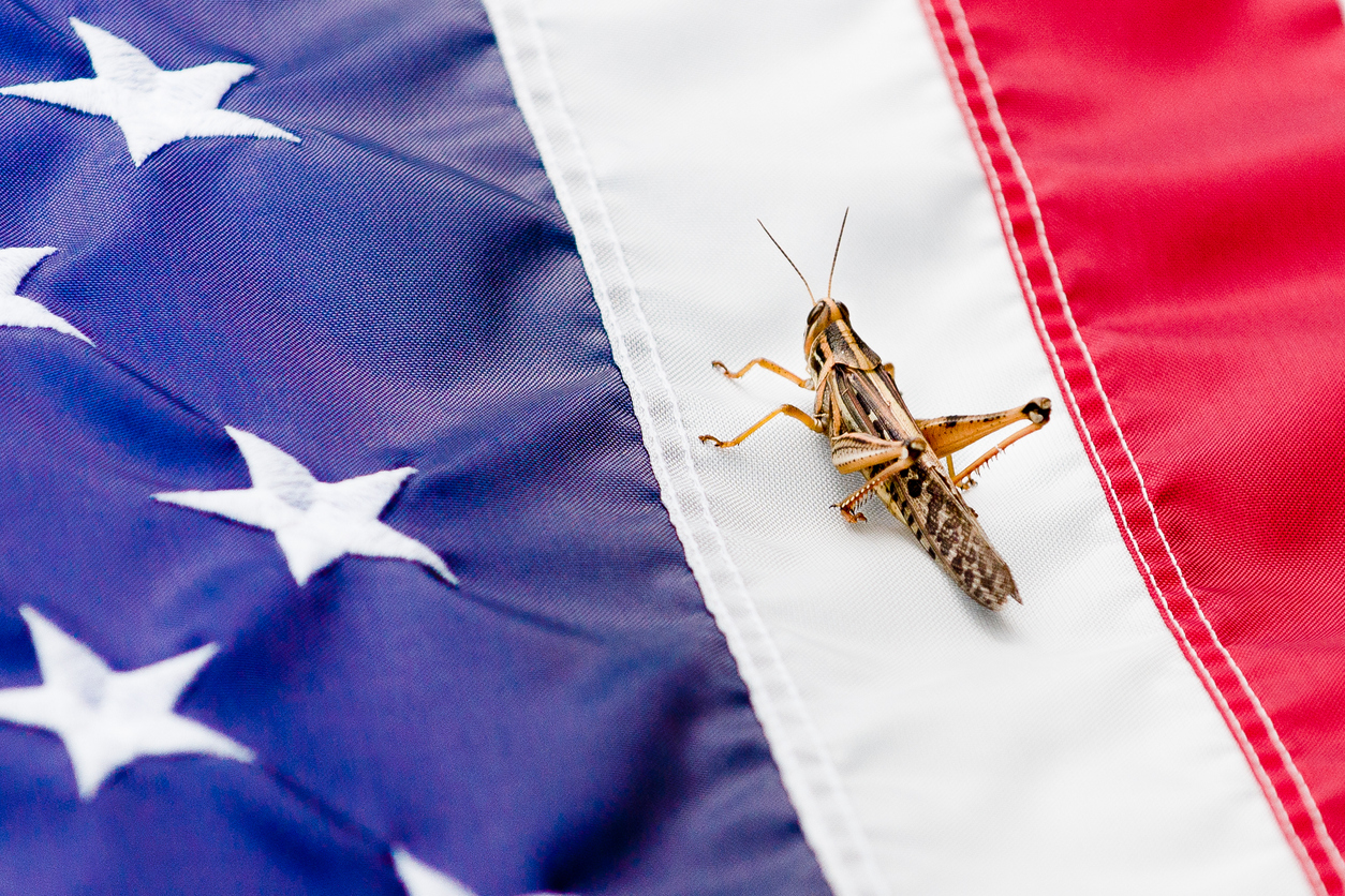 The Top 8 States Bugs Love to Call Home